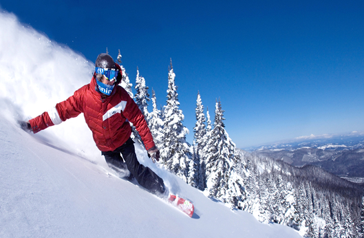 首页| 4002cc永利集团中国区官方网站