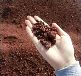 首页| 4002cc永利集团中国区官方网站