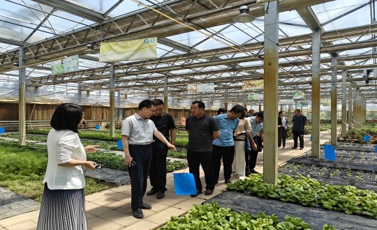 2024年6月27日，中国绿色食品发展中心有关辅导光临农业总公司调查调研_副本.jpg